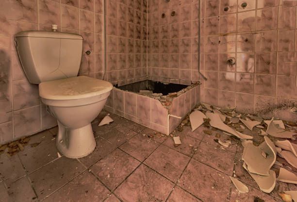 Common Reasons to Bathroom Renovate ny